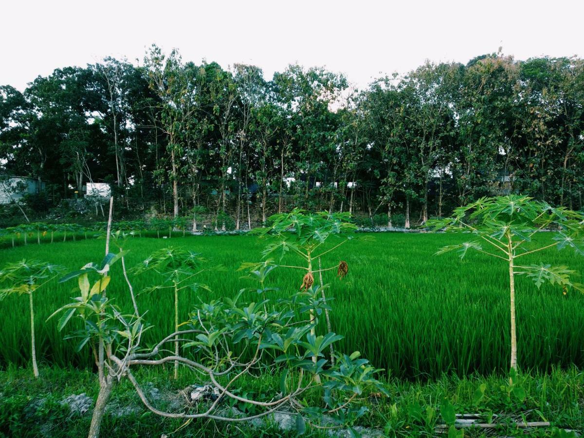 Rumah liburan Waithozz