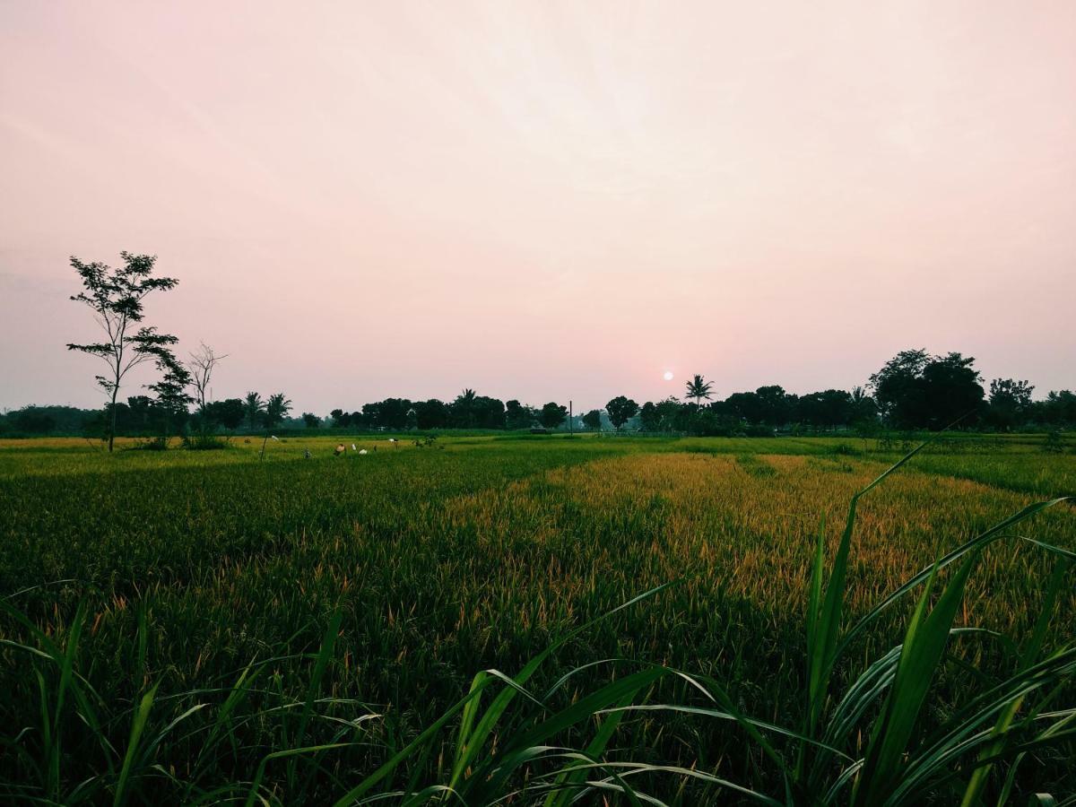 Waithozz Beran Kidul